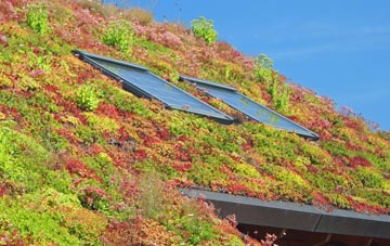 Tullyardan living roof systems