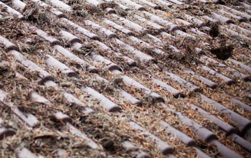 Tullyardan roof cleaning companies